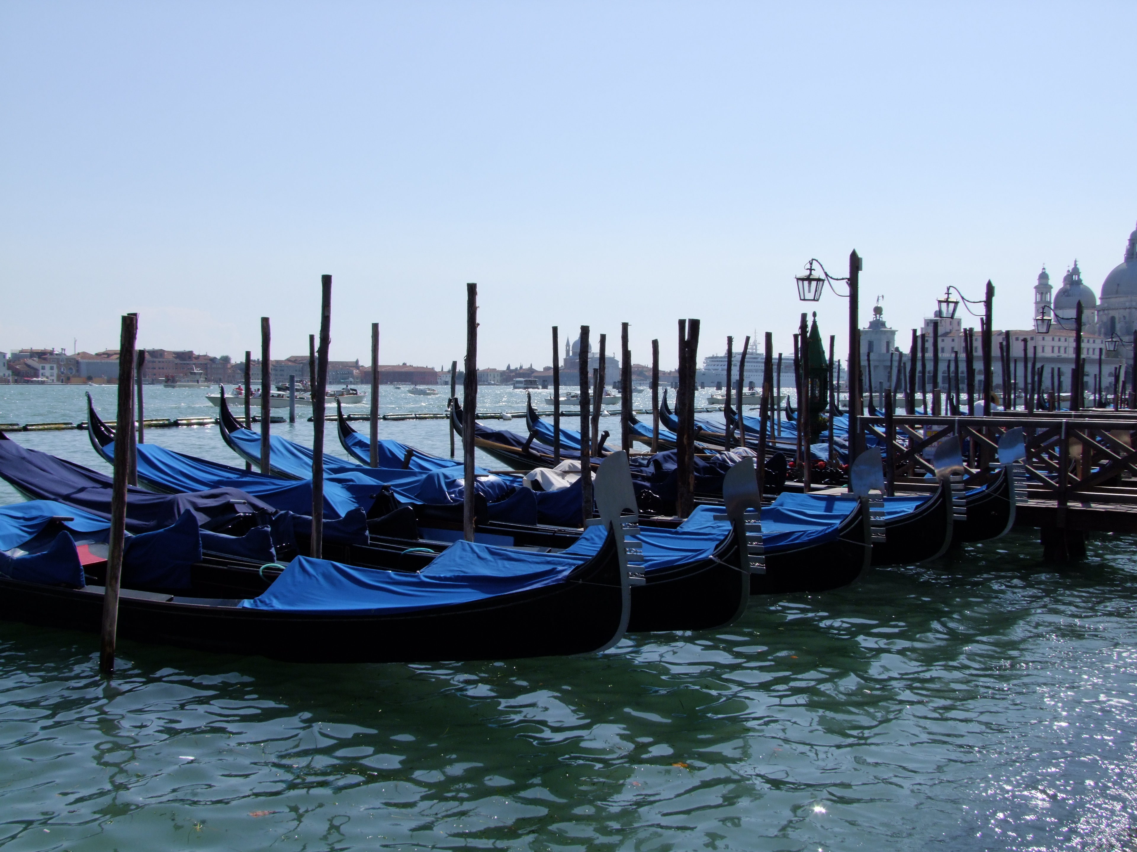 DSCF0241.jpg