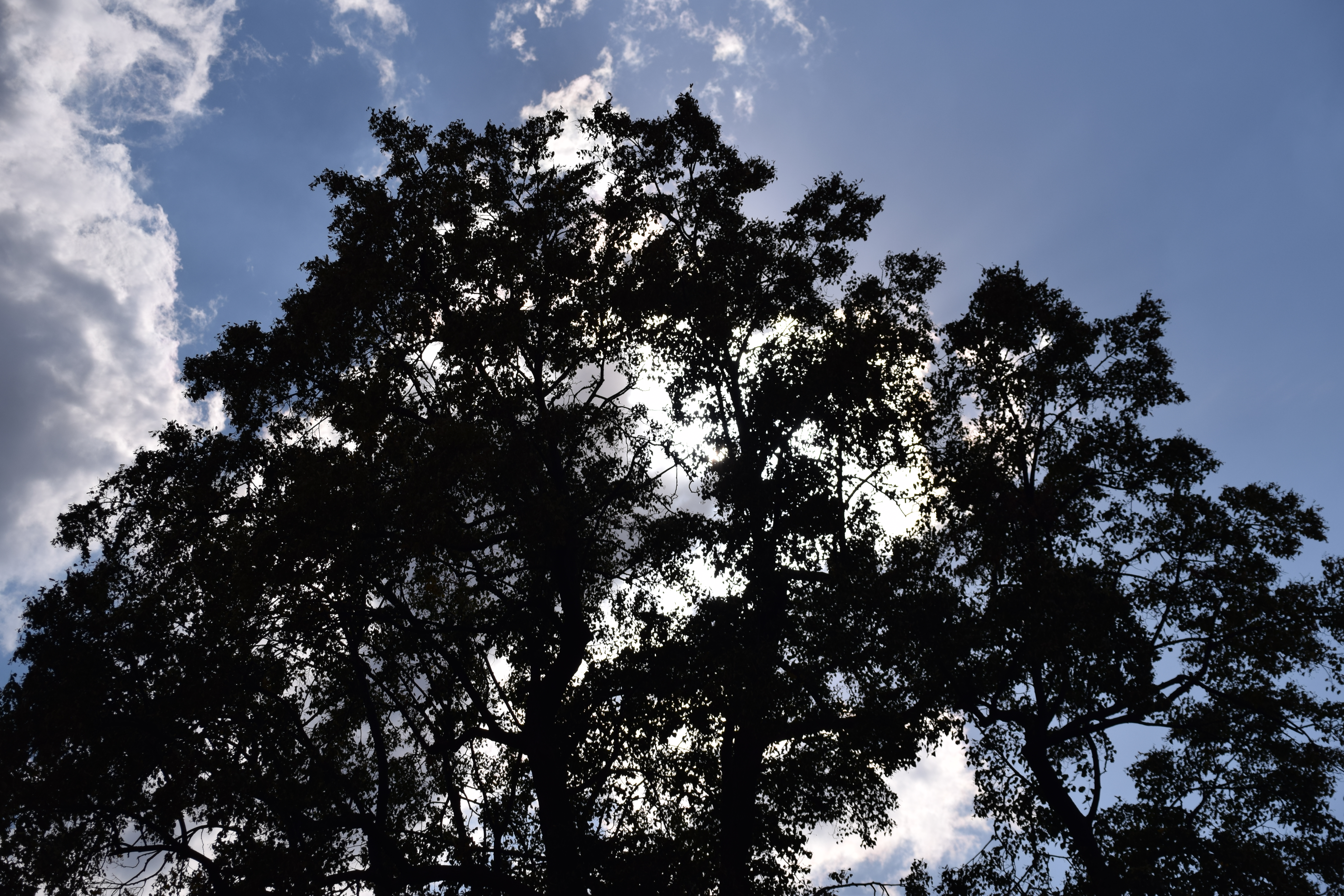 DSC_0016.JPG